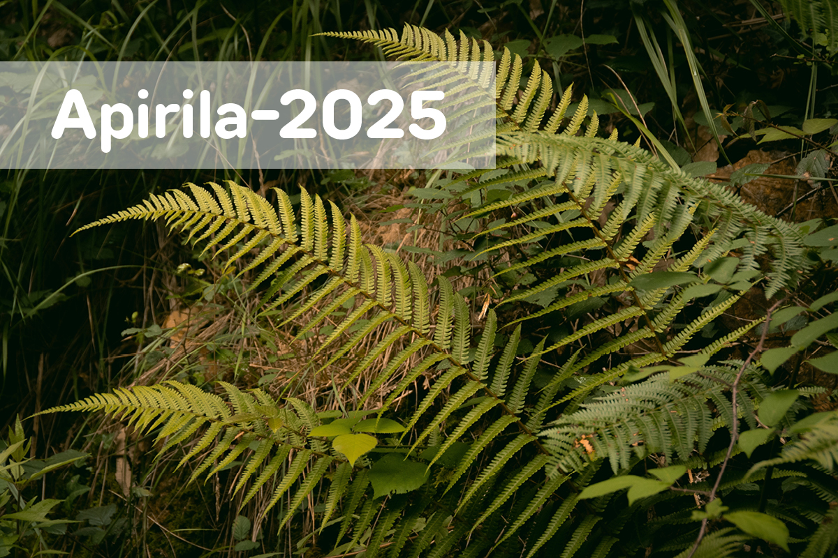 1. argazkia
