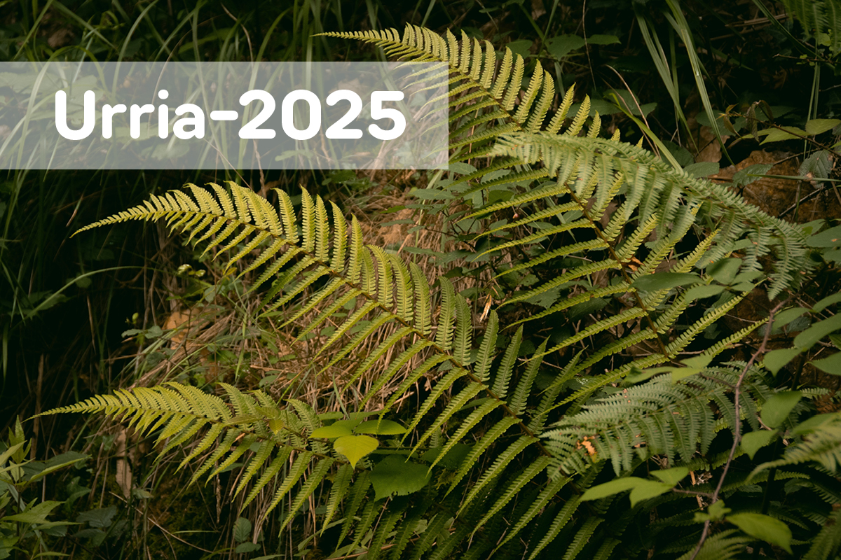 1. argazkia